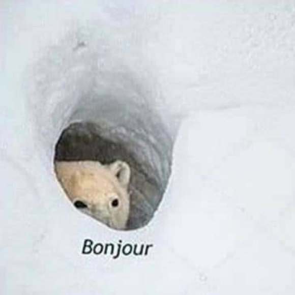 Meet your Posher, Marla - Picture 2 of 2